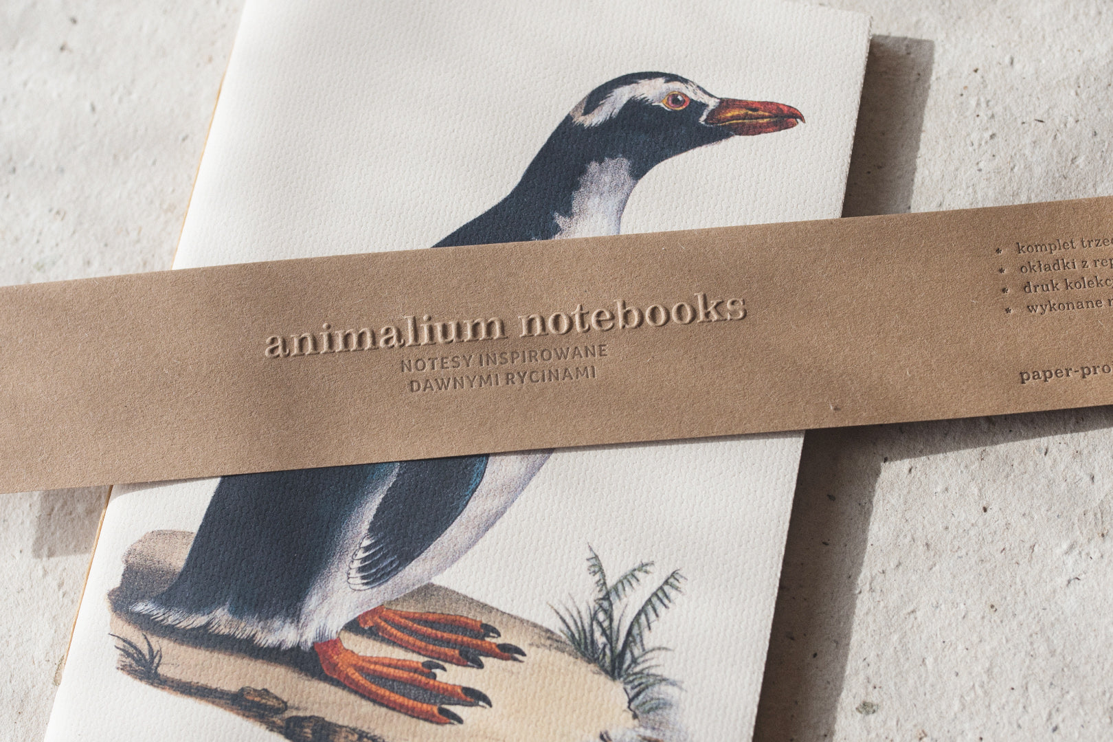 Animalium Notebooks
