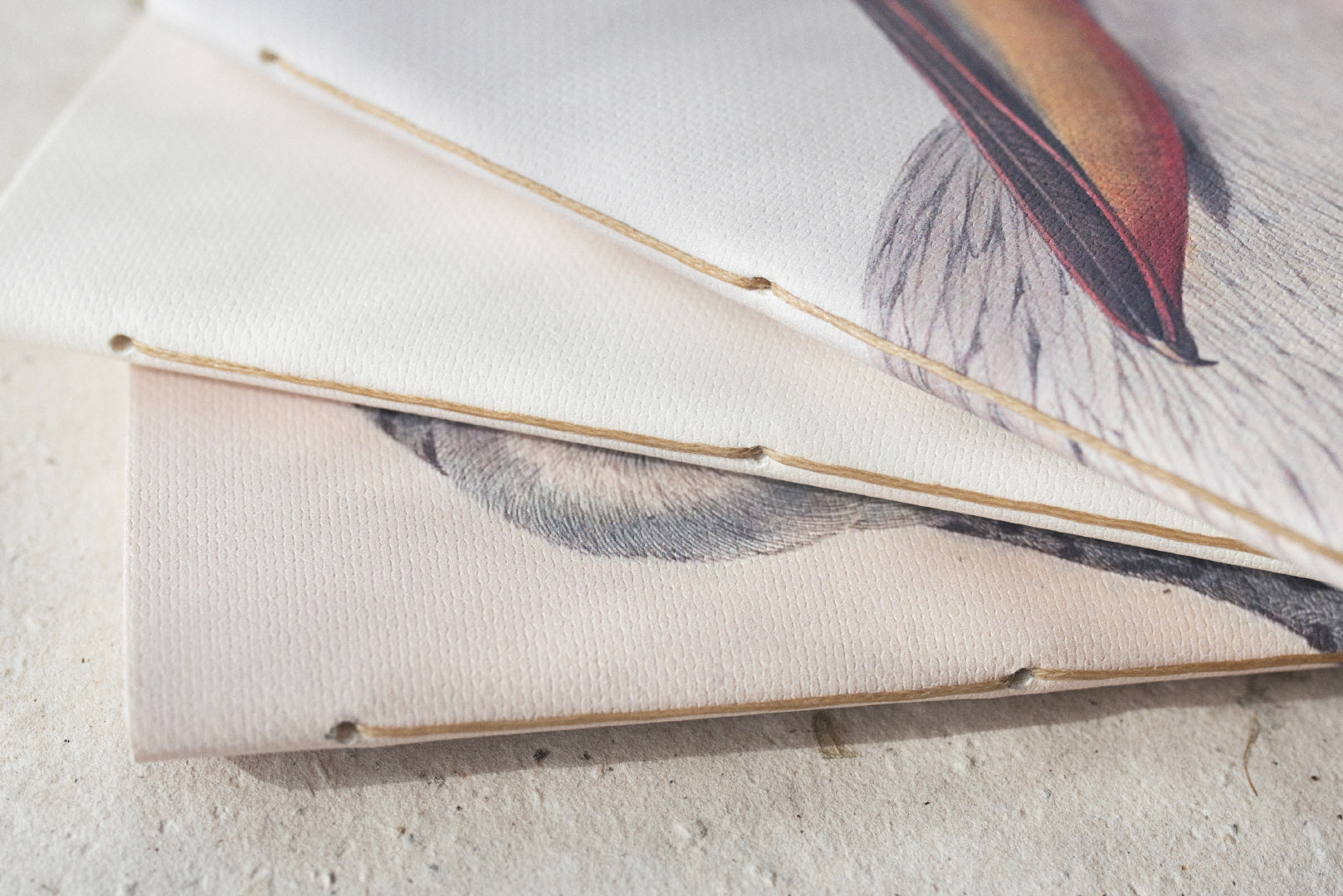 Animalium Notebooks