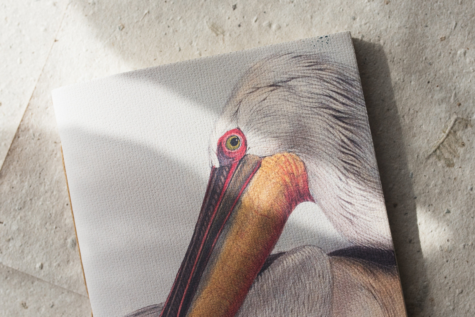 Animalium Notebooks