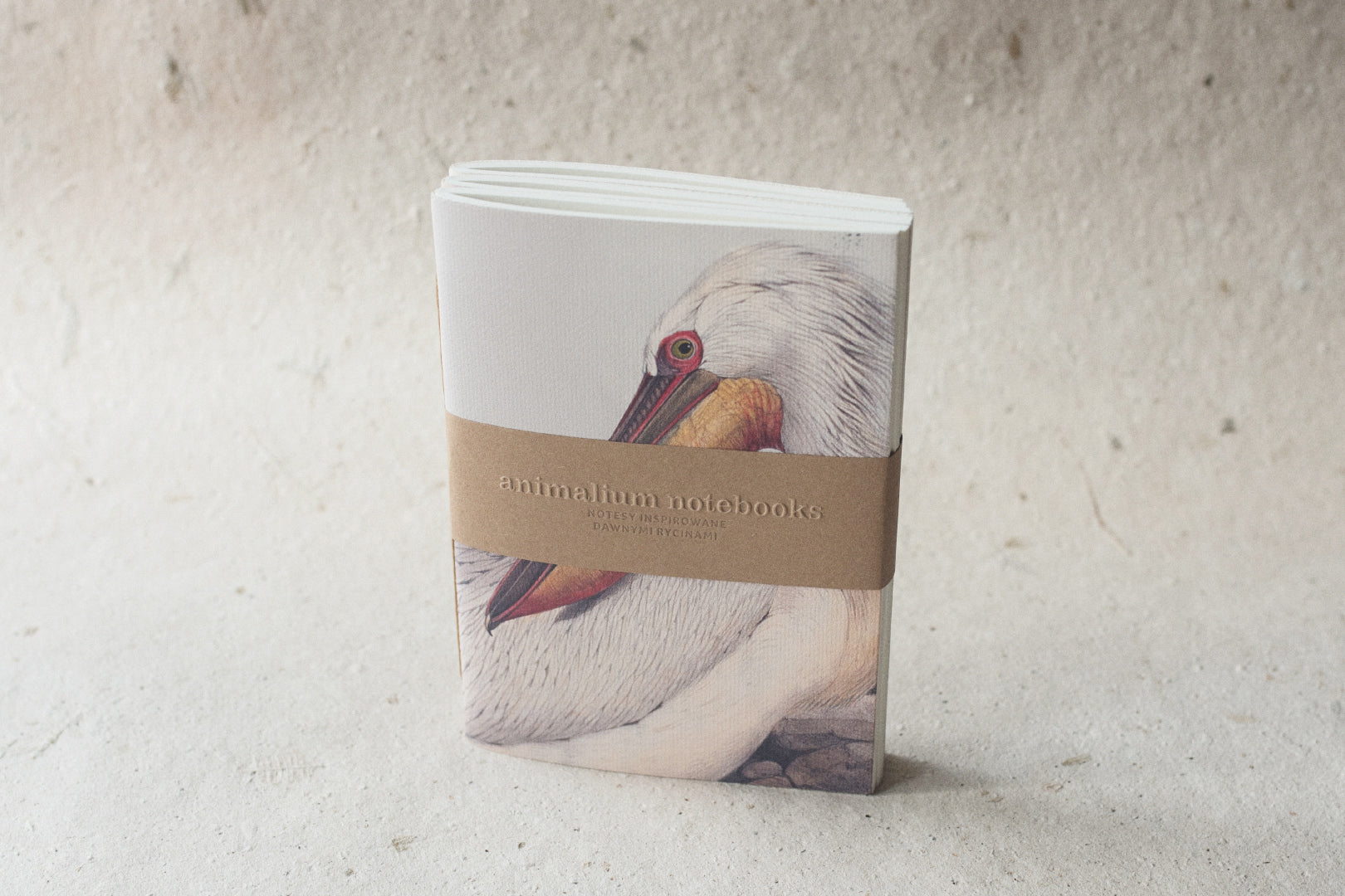 Animalium Notebooks