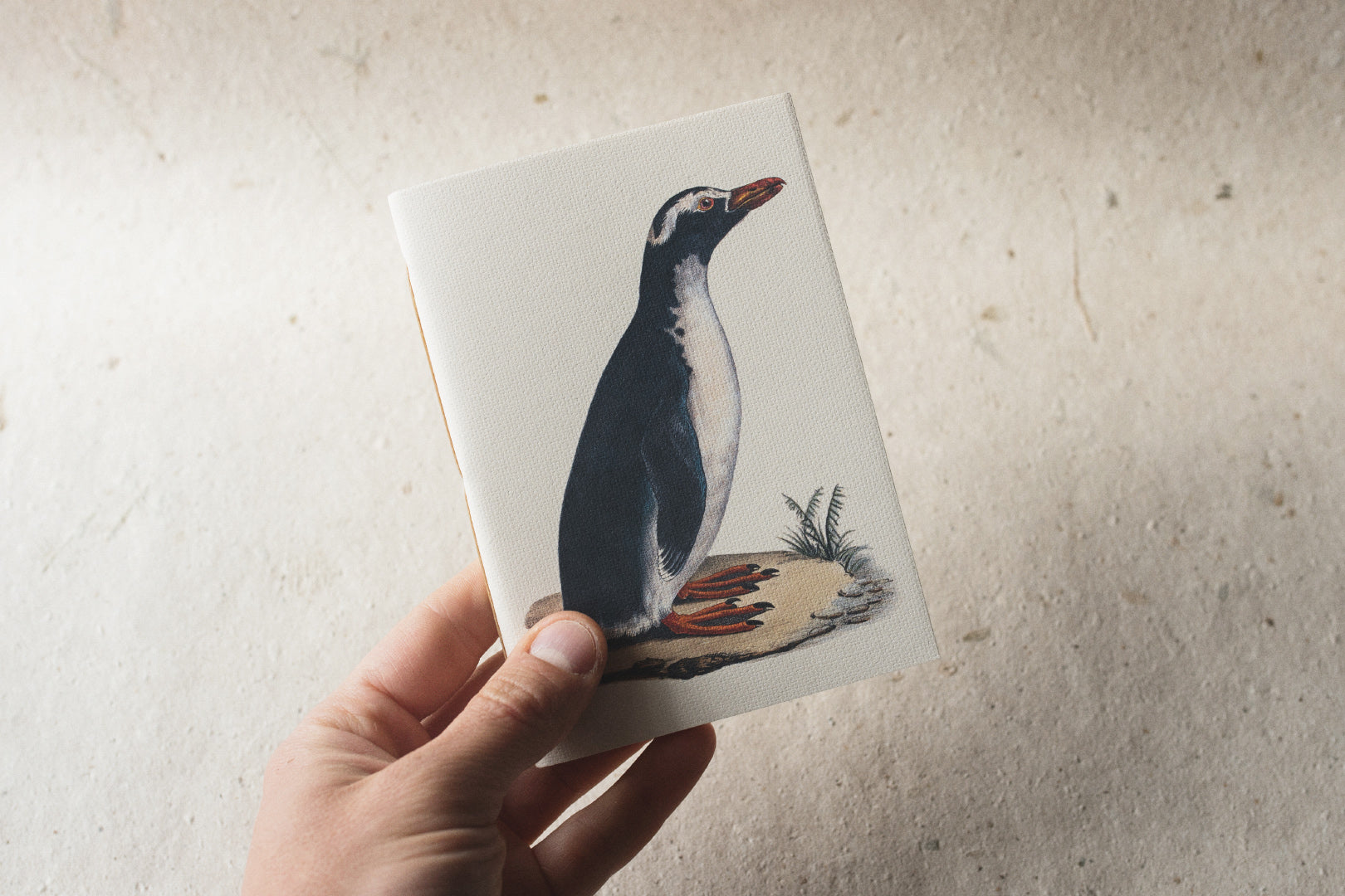 Animalium Notebooks