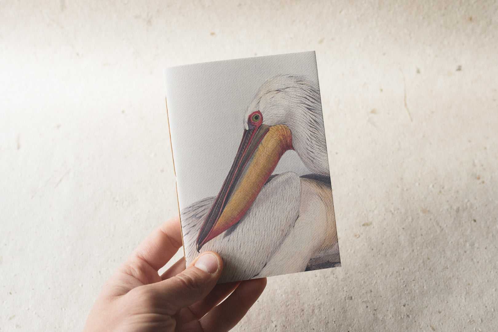 Animalium Notebooks