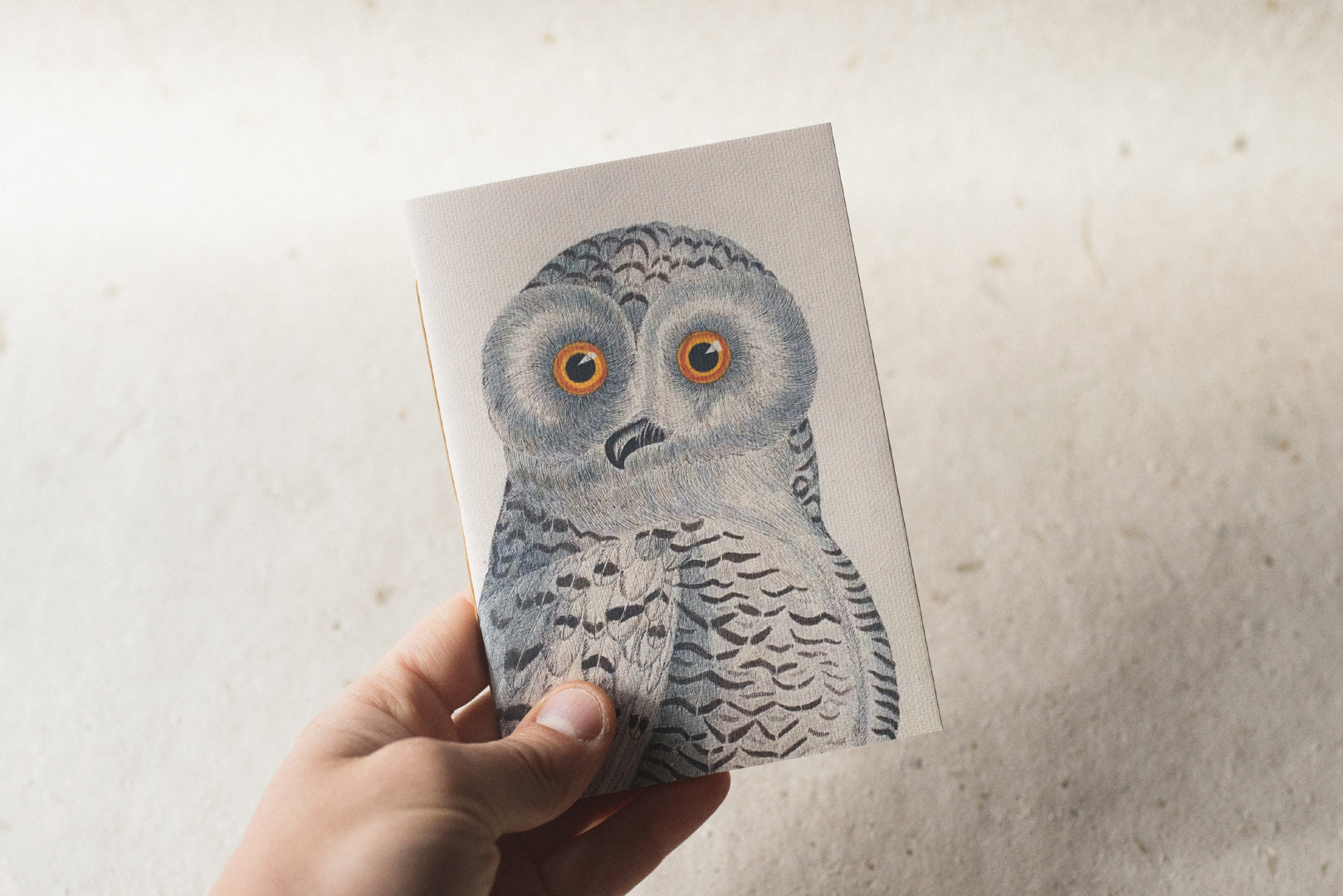 Animalium Notebooks