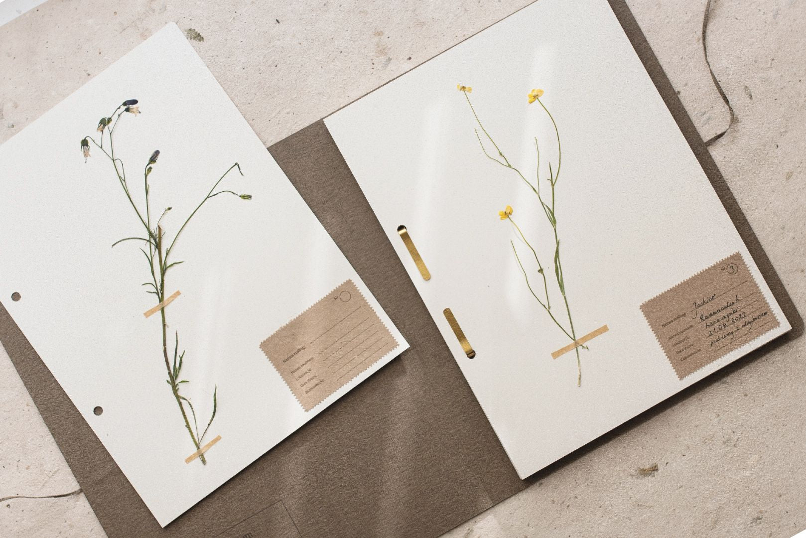 Herbarium