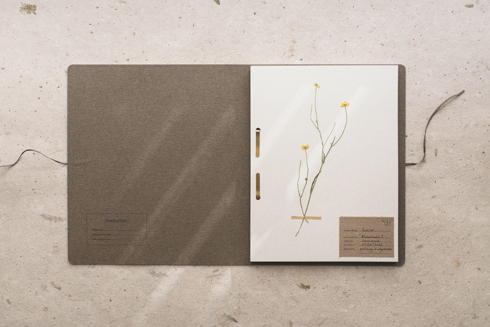 Herbarium