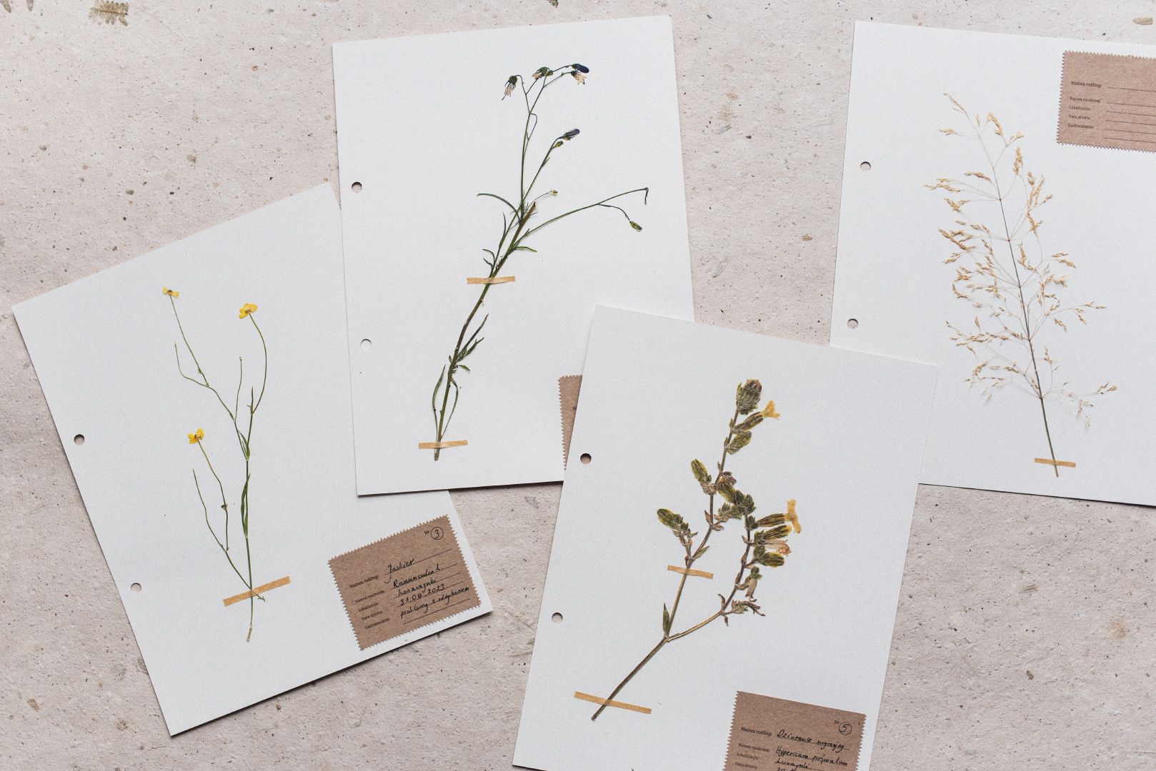 Herbarium